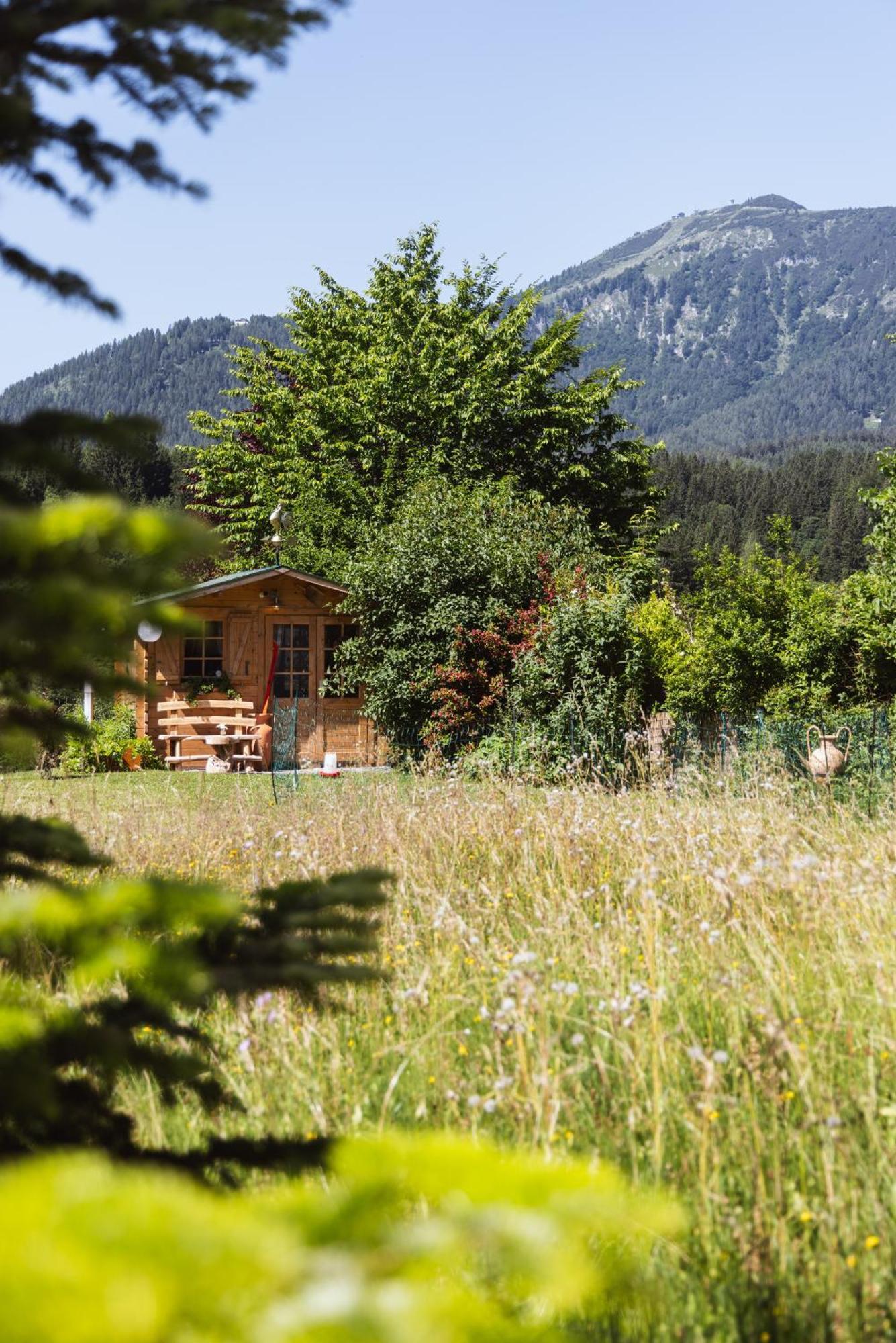 Pension Klug Adults Only - Dorfresort ミッターバッハ エクステリア 写真
